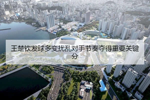 王楚钦发球多变扰乱对手节奏夺得重要关键分